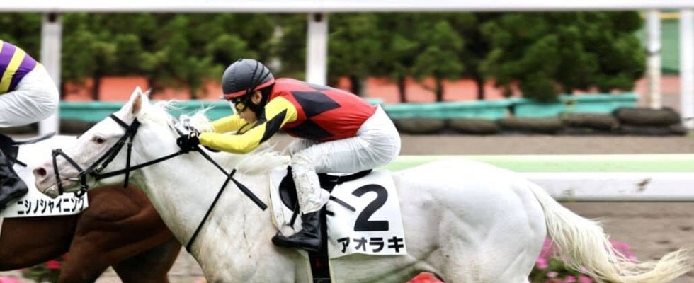 白毛馬アオラキが予後不良…土曜福島8Rで競走中止