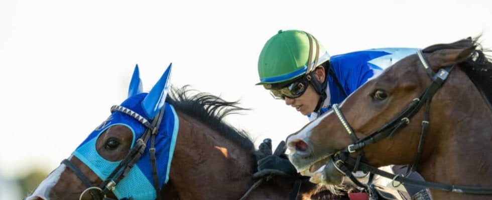 【デイリー杯2歳S】坂井瑠「力通りだと思います」アドマイヤクワッズがデビュー2連勝