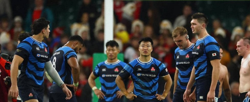 【ラグビー】日本代表、ラストプレーで逆転負け…ウェールズに23－24　テストマッチ５連敗