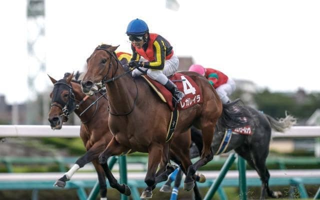 【エリザベス女王杯・馬体重】レガレイラは480kg(+8)、リンクスティップは482kg(+2)