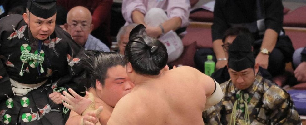 新十両の藤凌駕が勝ち越し　大の里、尊富士らに続いた　８勝すべて押し出し