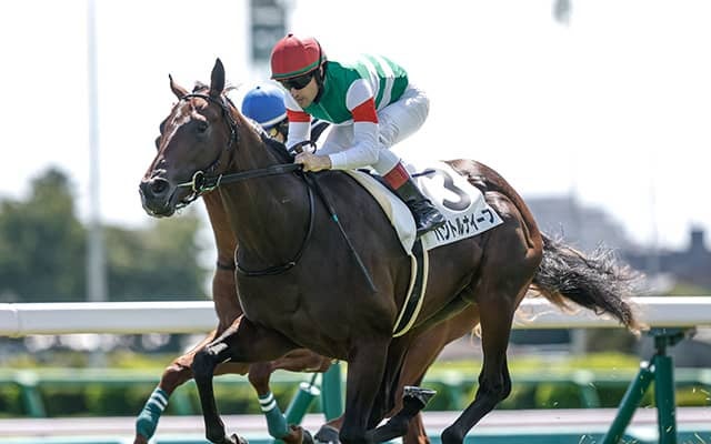 【東スポ杯2歳S】パントルナイーフ、ストームサンダーらが登録