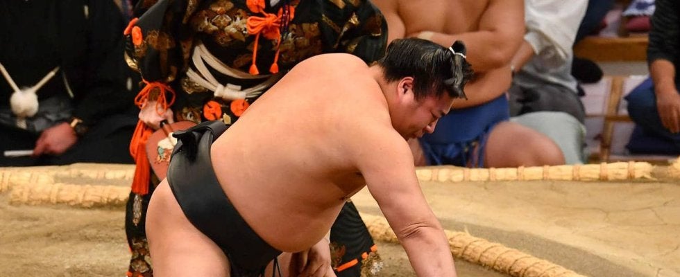 若元春がこだわる得意の左四つ「勉強」勝ってもなお求め続ける境地「考えないことは、やめない」