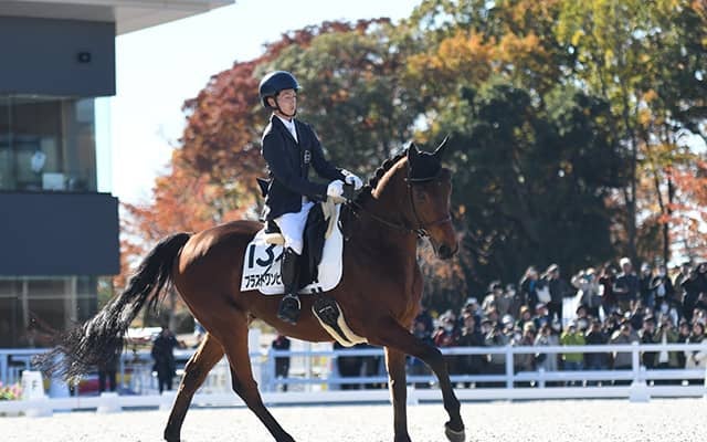 引退競走馬が躍動する「RRC FINAL 2025」 大会を楽しむためのポイントとは？