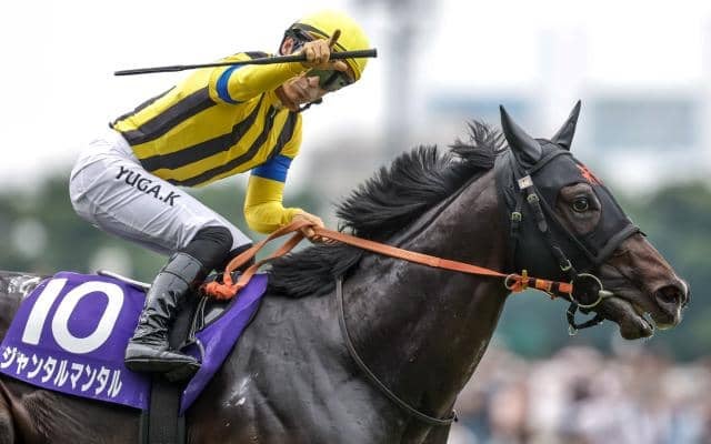 マイルCS、東スポ杯2歳Sなど3重賞/今週の競馬界の見どころ