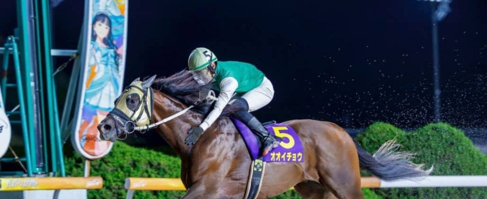 【佐賀・ウインターチャンピオン】オオイチョウが3馬身差の完勝で重賞制覇