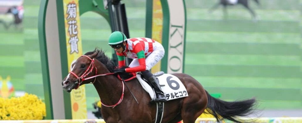 【東スポ杯2歳S登録馬】GLAY・TERU命名で話題のテルヒコウなど15頭