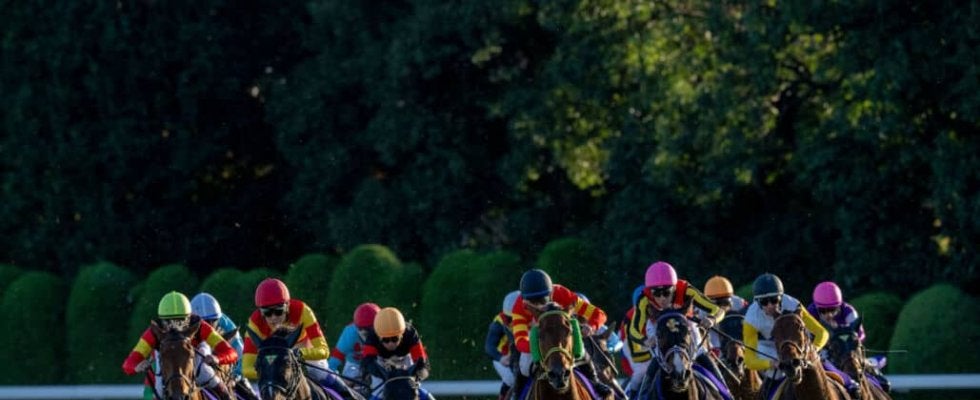 【エリザベス女王杯】C.デムーロ「内にもたれるところがあった」レース後ジョッキーコメント