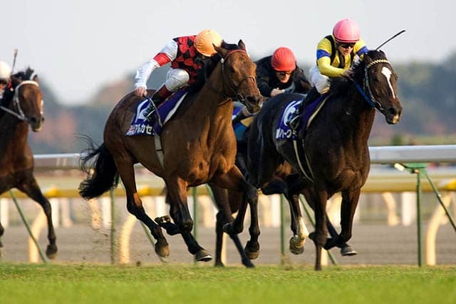 最後の海外馬勝利は20年前 アルカセットが制したジャパンカップ