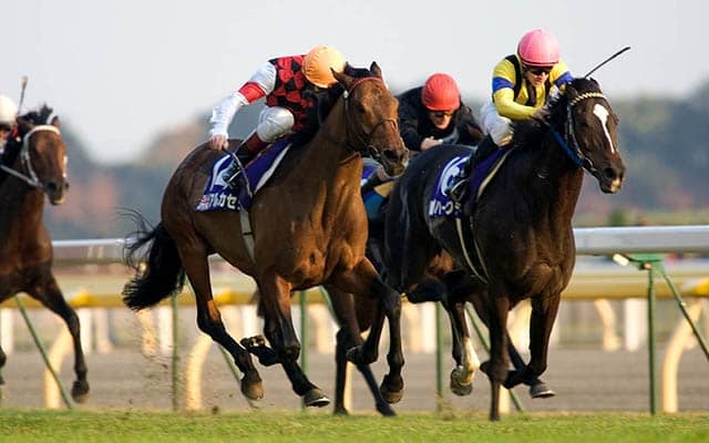 最後の海外馬勝利は20年前 アルカセットが制したジャパンカップ