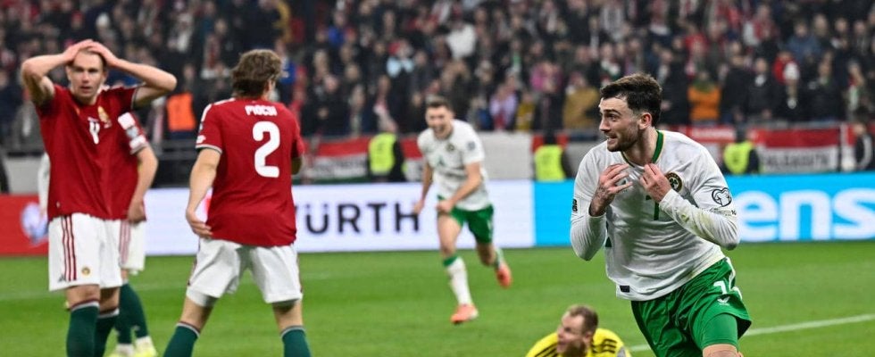 【Ｗ杯予選】アイルランドとウクライナがPO進出　アイルランドはハンガリーに劇的逆転勝利