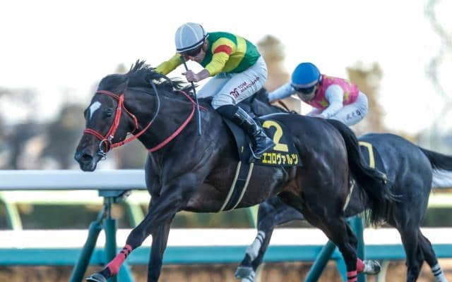 【福島記念予想オッズ】エコロヴァルツが予想1番人気