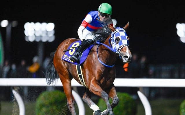 【川崎・ローレル賞結果】アンジュルナが4馬身差圧勝で重賞初制覇