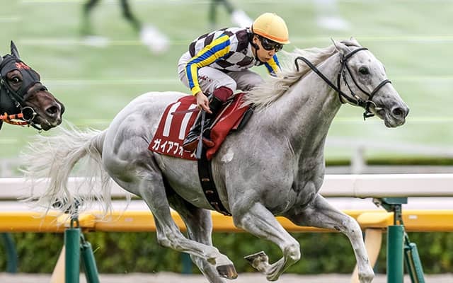 【マイルCS】21頭の香港馬名・馬名意味を紹介！『地神力』『生活格調』はどの馬？