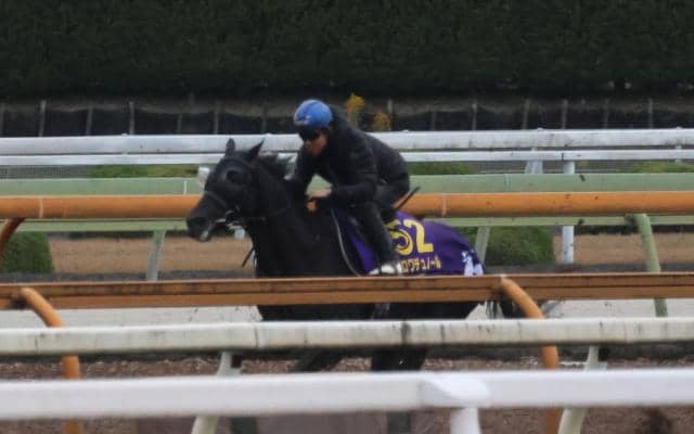 クロワデュノール、ジャパンC1週前追い切り速報/栗東トレセンニュース