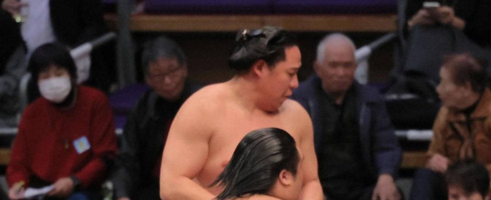 新十両の藤凌駕が11勝目　にしたんクリニックから贈られた化粧まわしに「すごいかっこいい」