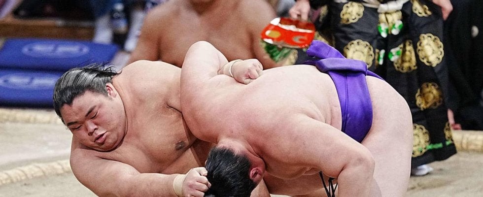 新十両の藤凌駕が１敗守りＶ王手「火事場のばか力がはまってよかった」14日目は３敗朝乃山戦