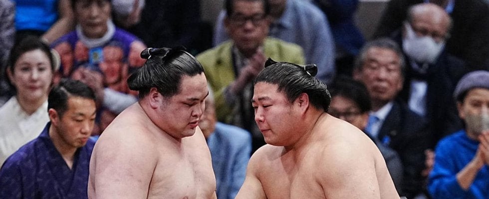 若元春が考える究極の左四つとは…万全の取り口にも「まだまだ足りてない」