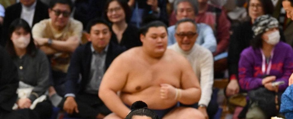 琴桜が１年ぶりの大の里戦勝利で勝ち越し　ケガを乗り越え「感謝しながら取れました」　