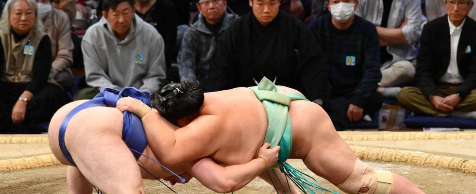 安青錦が豊昇龍との優勝決定戦へ、琴桜を破り３敗守る　21歳８カ月でのVなら３番目の年少記録