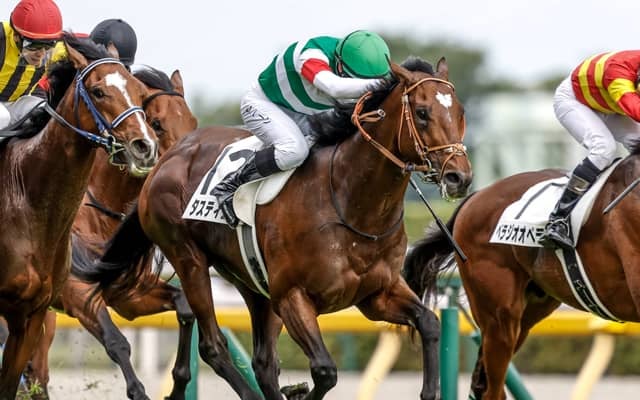 【ジャパンC見どころ】23年のダービー馬タスティエーラが巻き返す
