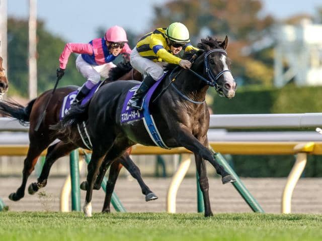 ジャパンC・調教後馬体重】マスカレードボールは476kg、クロワデュ