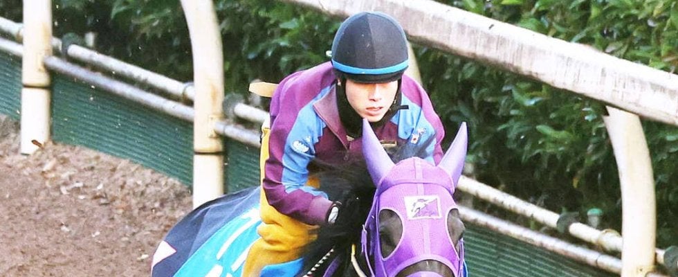【京阪杯】ペアポルックスが重賞初勝利へ向け坂路で上昇ムード　梅田調教師「さらに上がってきている」