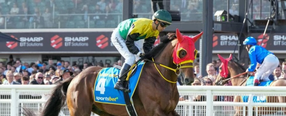 【ステイヤーズS登録馬】暮れの名物マラソンレースにワープスピードなど16頭