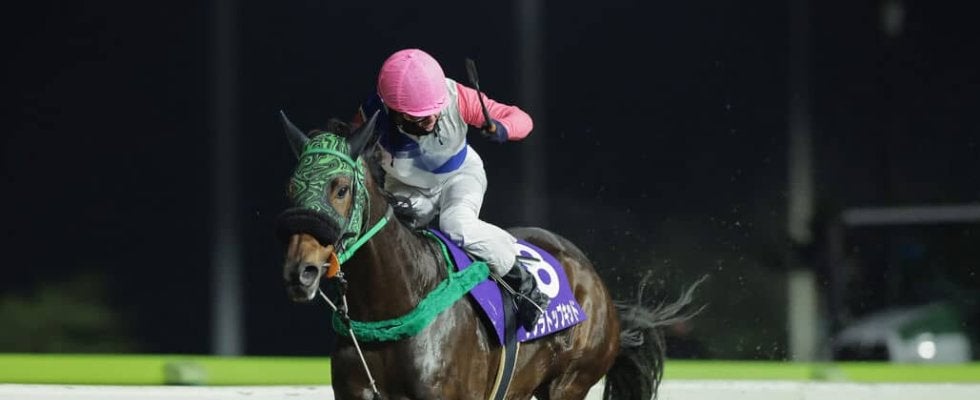 【水沢・北上川大賞典】サクラトップキッドが連覇達成