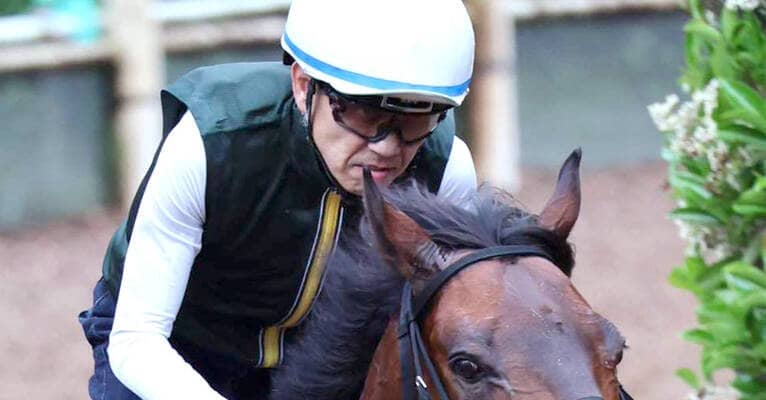 【鳴尾記念】舞台得意のデビットバローズが開幕週馬場で躍動　上村調教師「今回が一番いい」