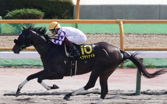 【AI予想・チャンピオンズC】優れた先行力が魅力の本命候補！ 近年の傾向からもチャンスは十分