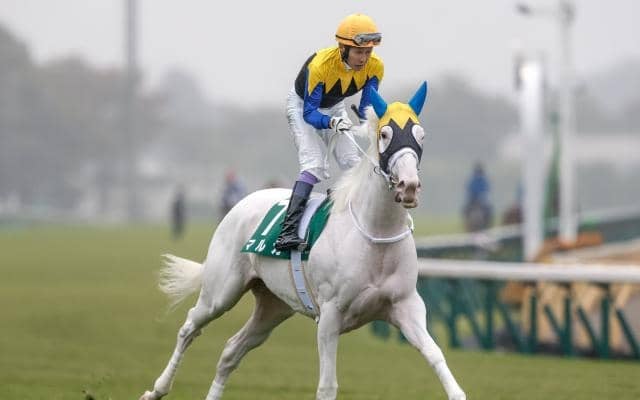 【阪神JF出走馬決定順】フルゲート18頭に26頭が登録 収得賞金400万円の馬で「15分の7」抽選