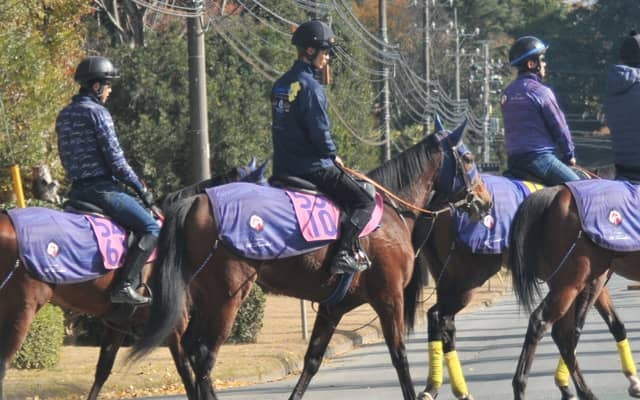 いとこにシュネルマイスター セリエンクーニゲンが日曜中京で初陣/関東馬メイクデビュー情報