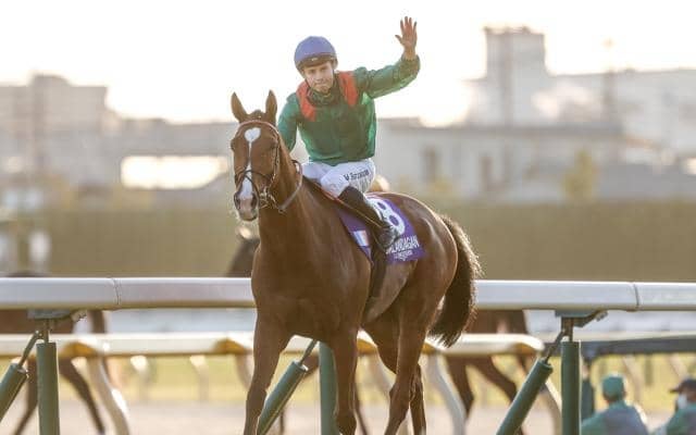 レコードでジャパンC制したカランダガン 高速馬場に対応できた理由は血統にあり