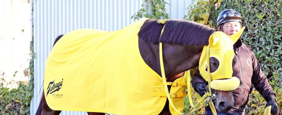 【チャンピオンズＣ】２年続けて２着のウィルソンテソーロ　砂が深い前走は力を発揮できず　得意舞台で悲願を