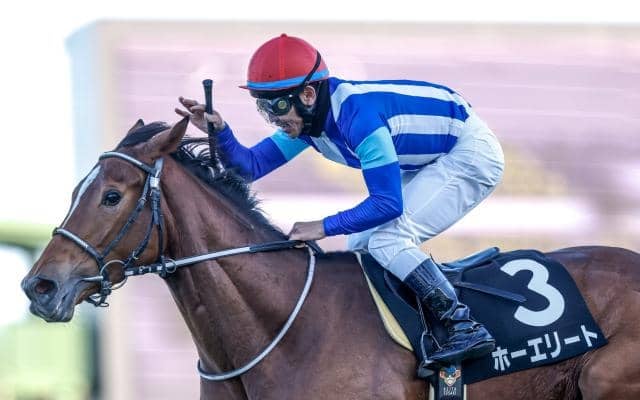 【ステイヤーズS展望】好走データ合致でホーエリートが重賞初制覇へ