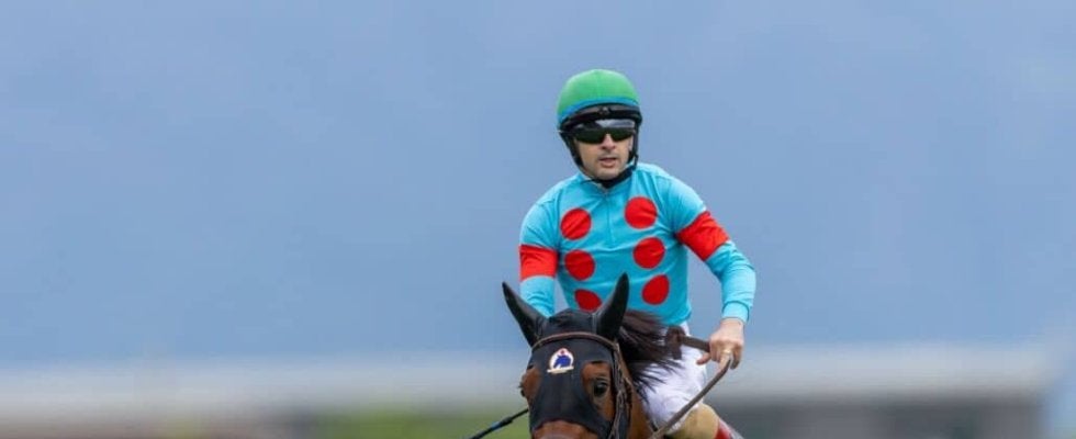 香港国際競走4レースで馬券発売…日本勢エンブロイダリーら8頭が出走予定