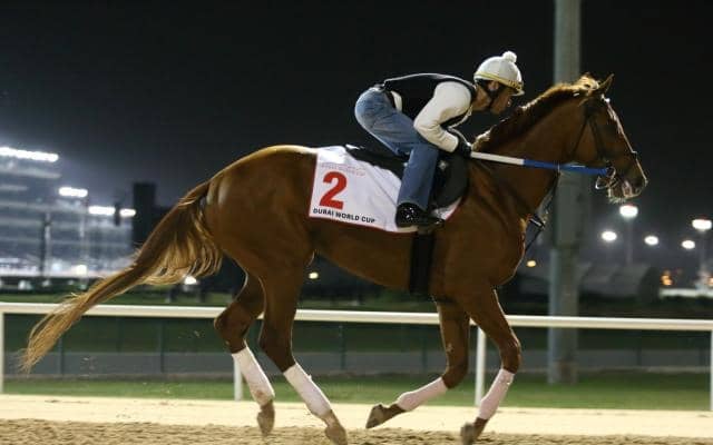 現役時代は米G1・6勝 種牡馬としても活躍中の「ガンランナー」を紹介 