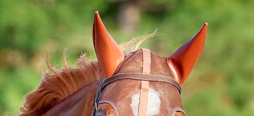 【注目馬動向】凱旋門賞５着のビザンチンドリームは有馬記念へ　ジャスティンパレス、エキサイトバイオも参戦