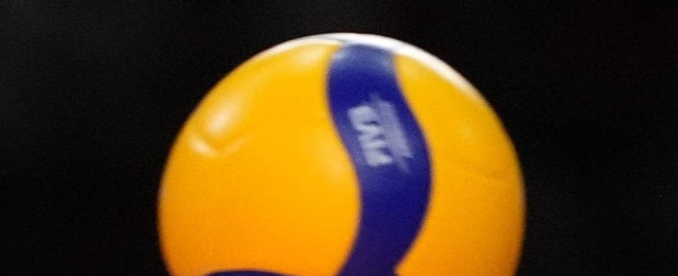 【バレー】男子は早大、女子は筑波大がストレート勝ちで２回戦へ／ミキプルーンスーパーカレッジ