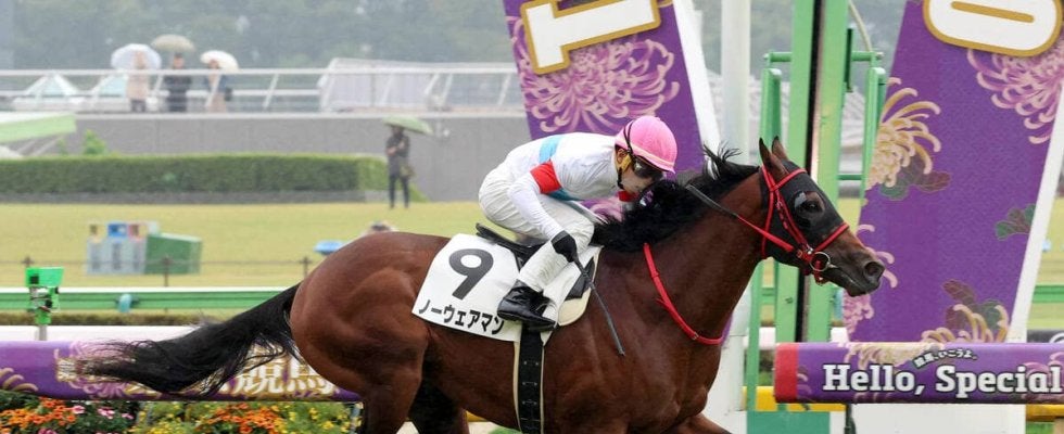 【注目馬動向】ノーウェアマンは木幡巧也騎手でホープフルＳへ　出走すれば開業１年目の浅利厩舎はＧ１初参戦