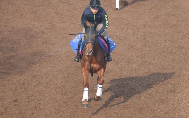 エナジーイッセイなど、先週のゲート試験/栗東トレセンニュース