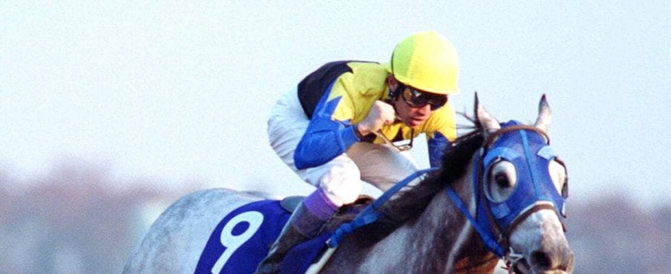 世界を震え上がらせた“芦毛の怪物”の７馬身差レコード勝ち…芝・ダート二刀流で伝説級の強さ　チャンピオンズＣ過去の名勝負