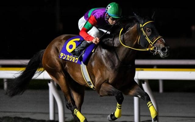 【チャンピオンズC】国分優作騎手が3年ぶりのJRA・GI参戦 テンカジョウで波乱呼ぶか