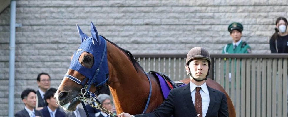 ２３年の皐月賞馬ソールオリエンスが引退、種牡馬入り　社台サラブレッドクラブ発表