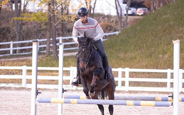 ダンビュライトやオーソクレースも！ RRCで躍動する「オールド・フレンズ・ジャパン」所属馬の秘密