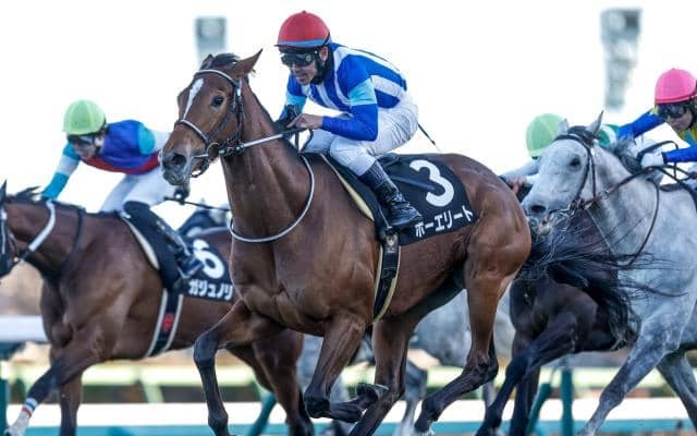 【ステイヤーズS予想オッズ】ホーエリートが予想1番人気