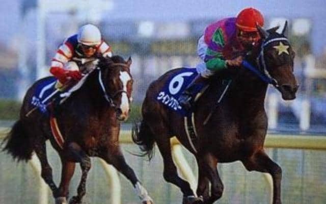 第1回JCダートで突き抜けたウイングアロー 圧巻の3馬身半差Vで“春秋制覇”