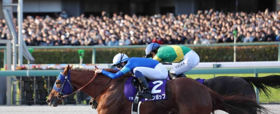 【チャンピオンズＣ・記録メモ２】今年のダート重賞では１番人気馬が苦戦　１３競走で勝ったのは１頭のみ・・・　