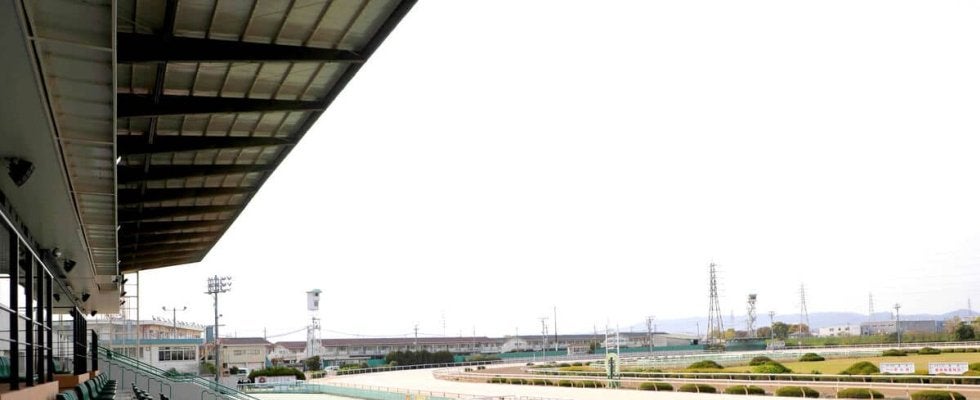 【園田・人気ジョッキーは語る】ジグラート（１１Ｒ）に手応え十分の小牧太騎手「調子の良さを生かしたい」